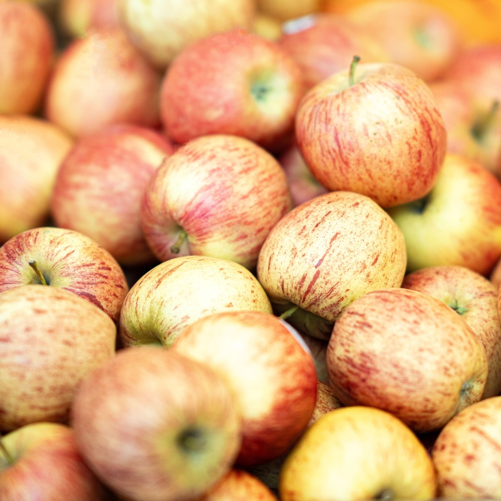 Apple Fuji Gift Box (14pcs/box)