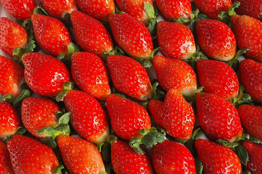 Korean Strawberry (8packs/box)