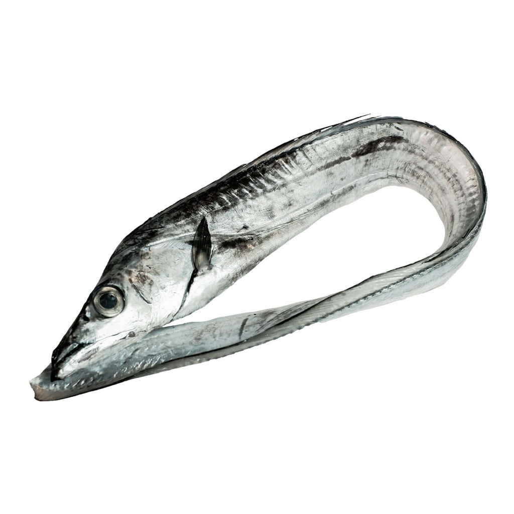 Fresh Espada (Fish)