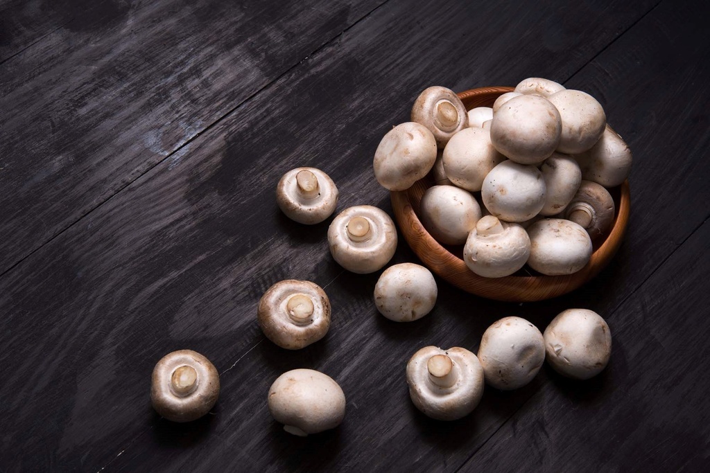Mushroom Button (400g/can)