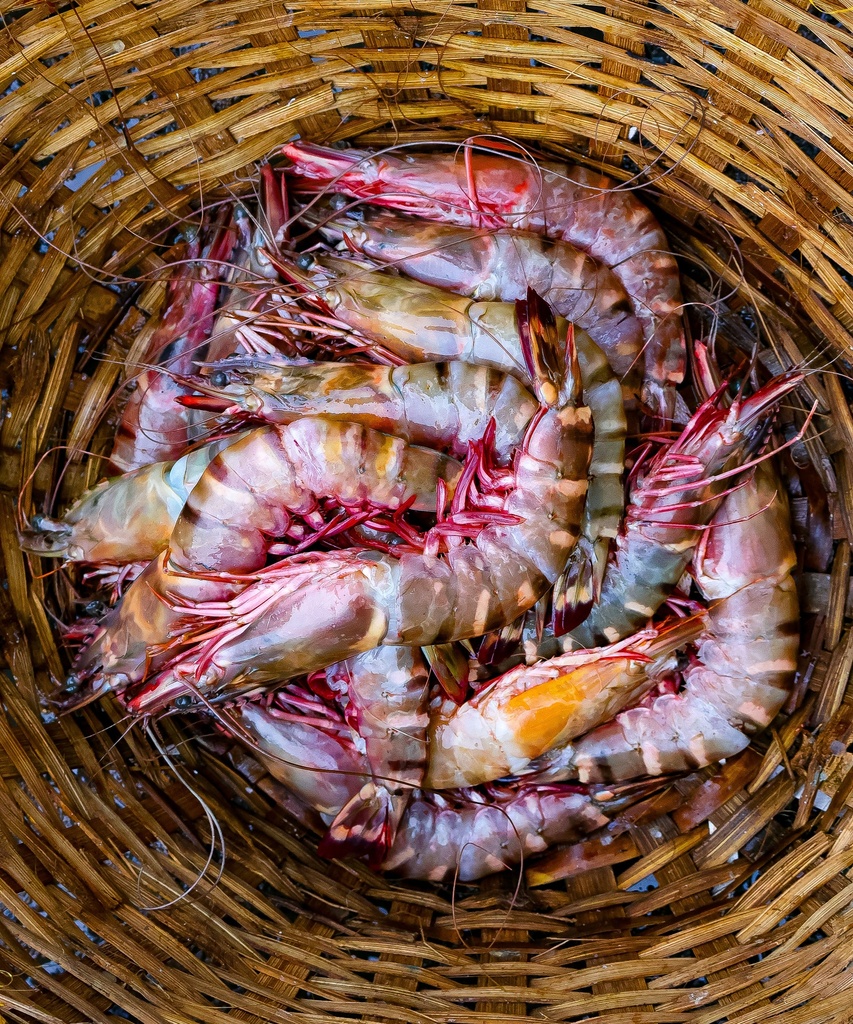 Frozen Tiger Prawns (300g/pack)