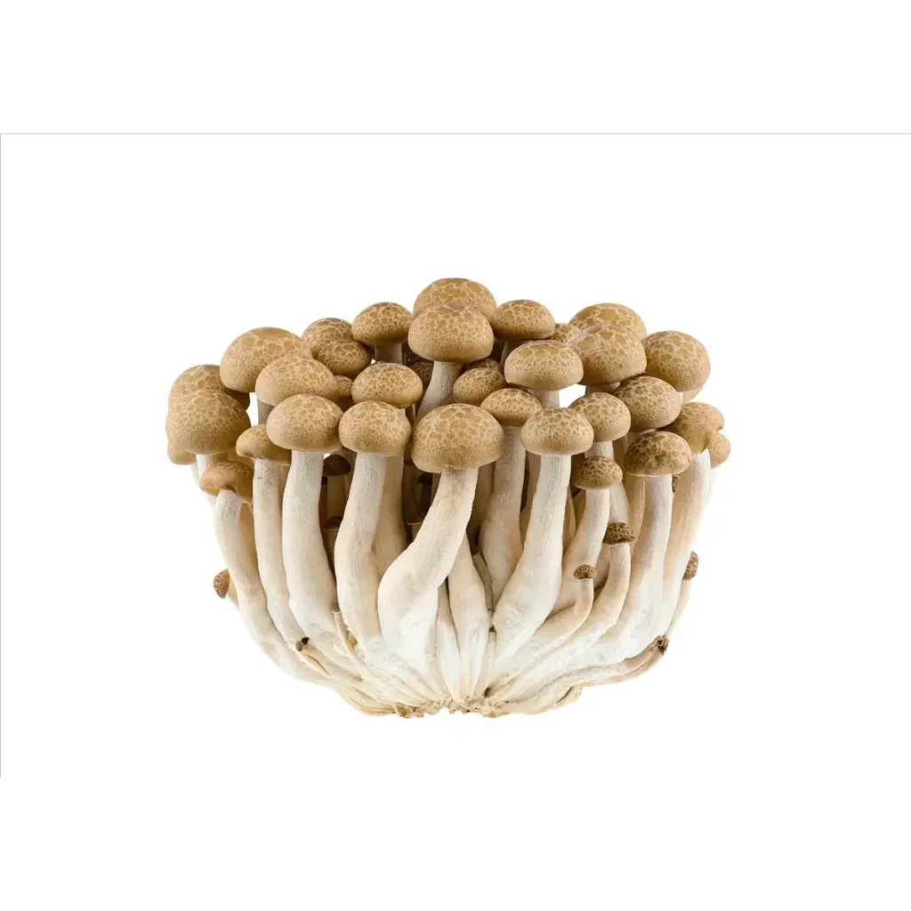Mushroom Brown Shimeji (200-250g/pack)