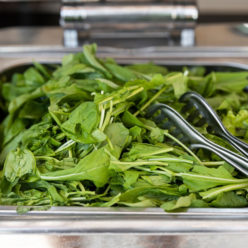 Arugula Baby