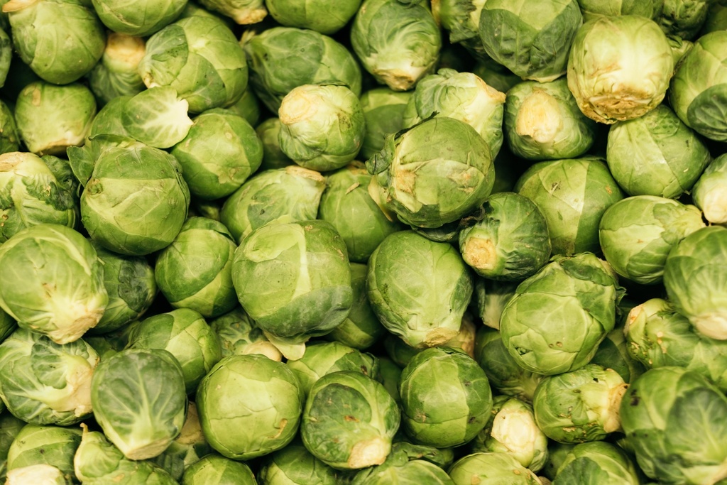 Brussel Sprout (E-House) - Pc