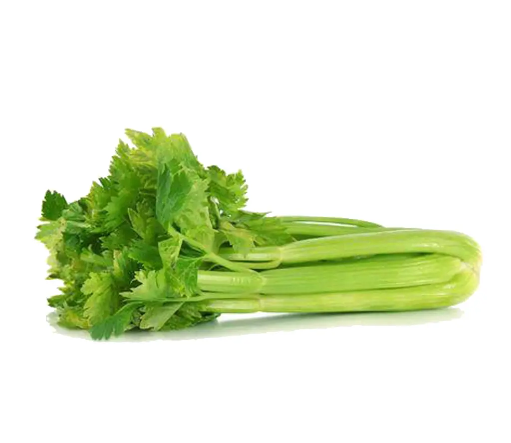 Celery Imported