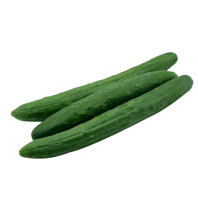 Cucumber Japanese