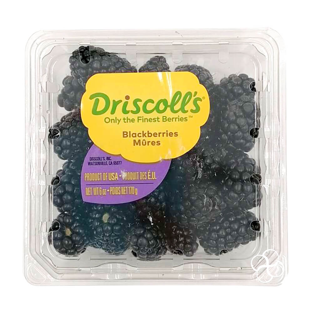 Fresh Blackberry Driscolls - Pc