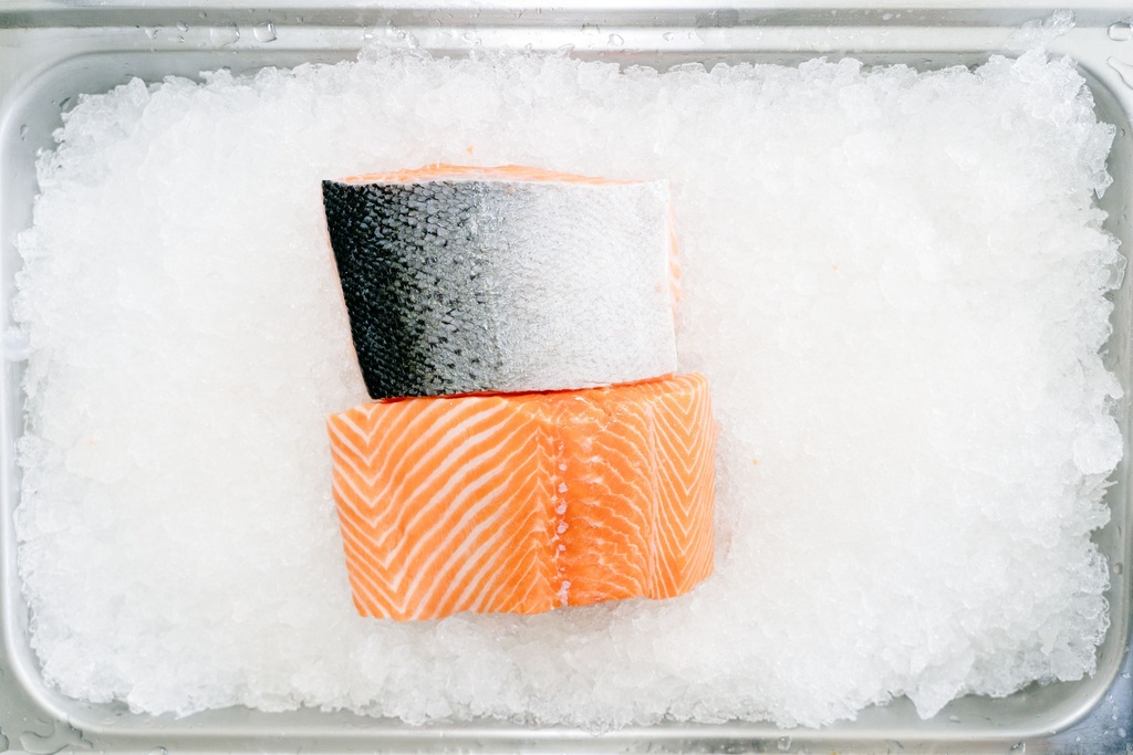 Frozen Salmon Fillet