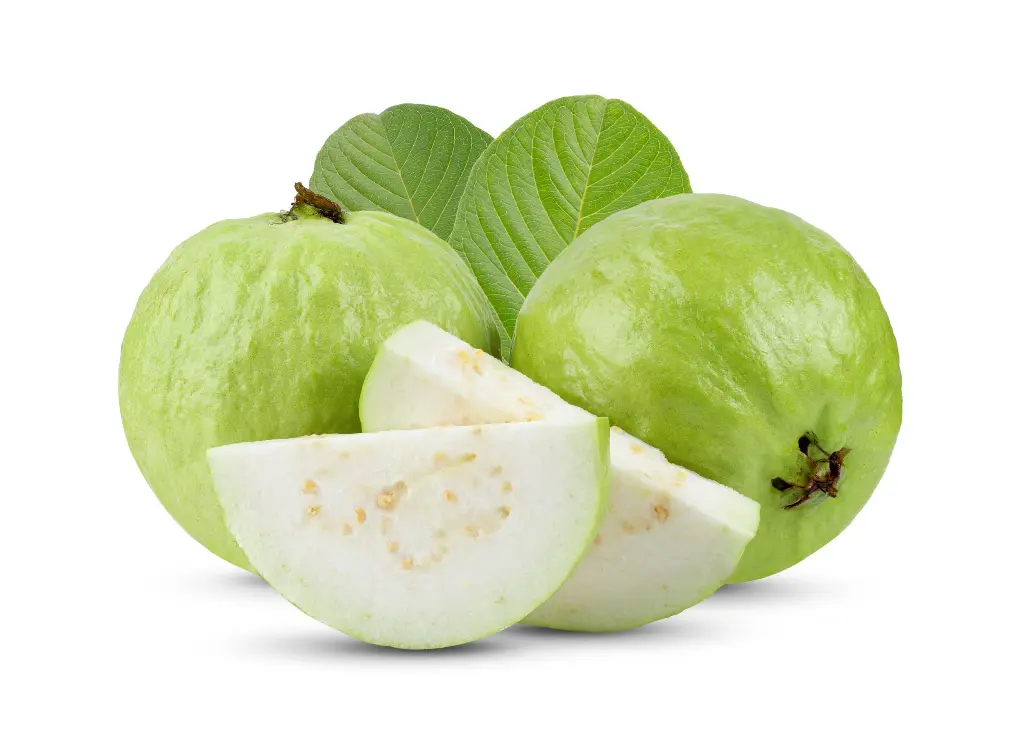 Guava White