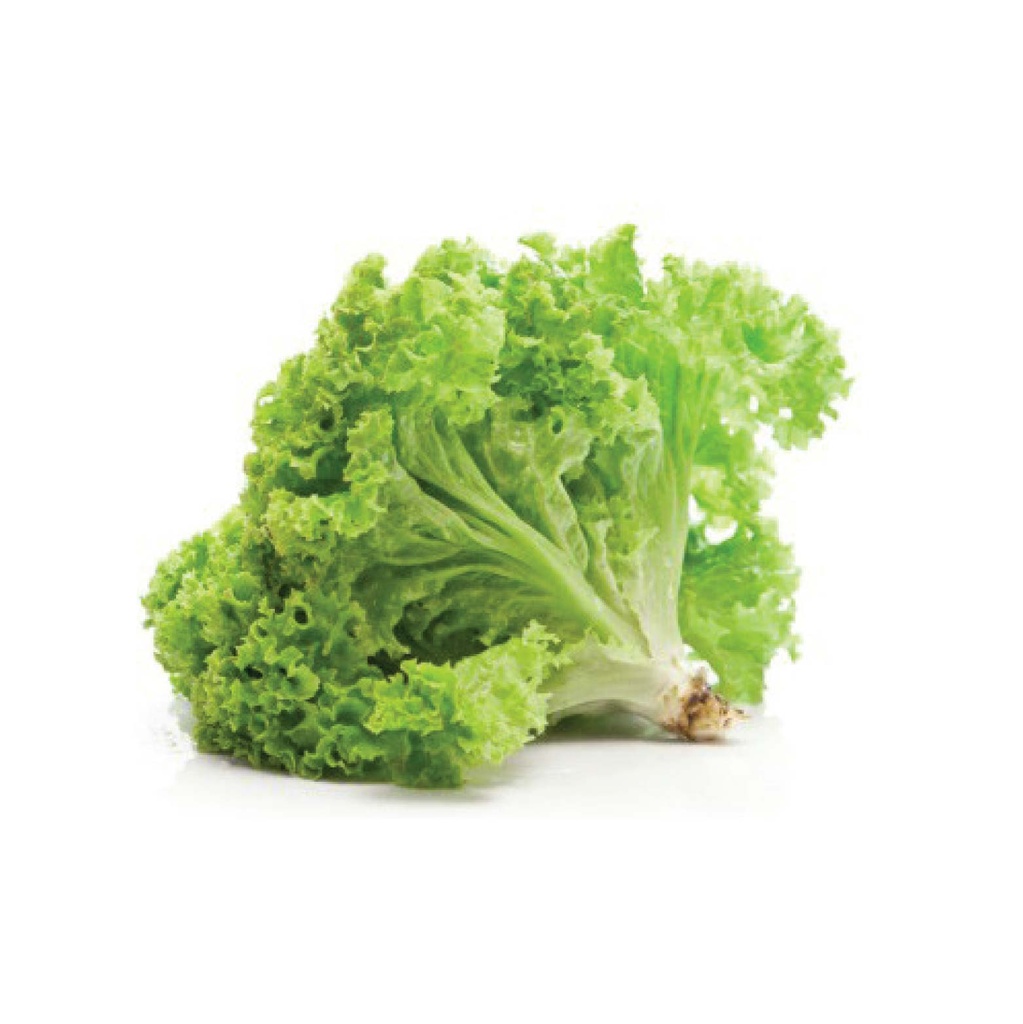 Lettuce Green Ice