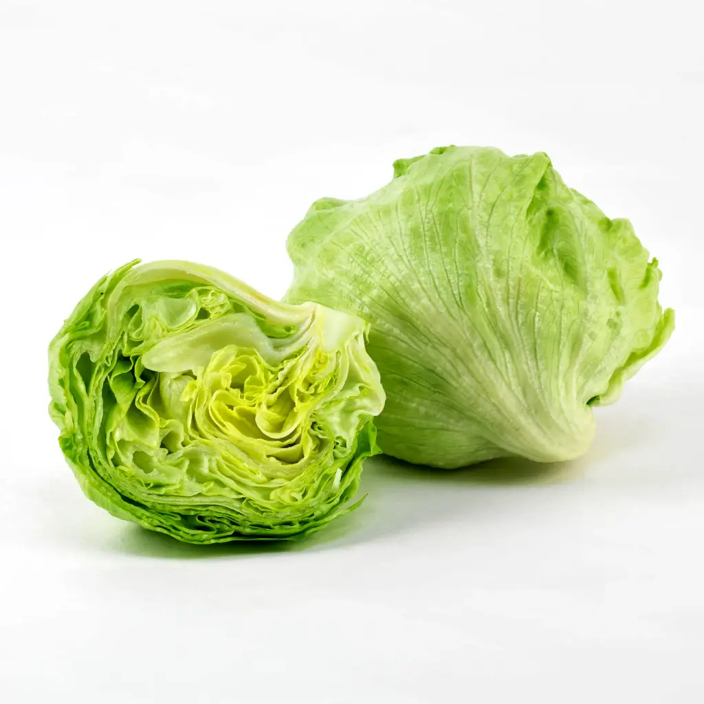 Lettuce Ice Berg
