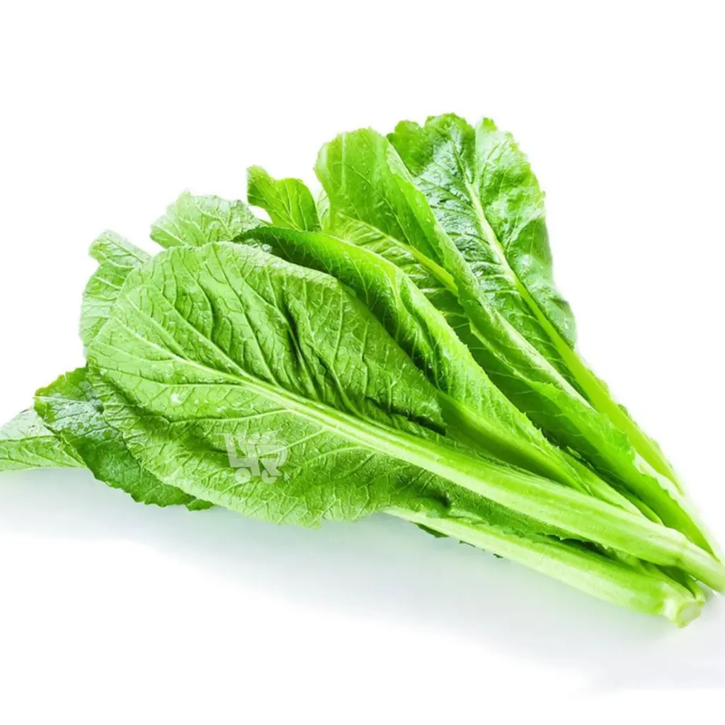 Mustasa (Mustard Leaves)
