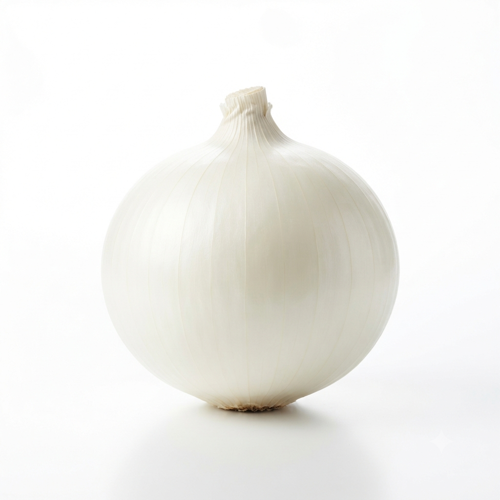 WHITE Onion Big