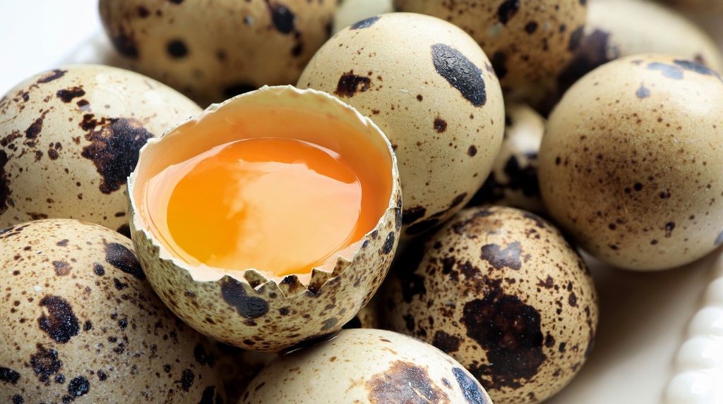 Quail Egg