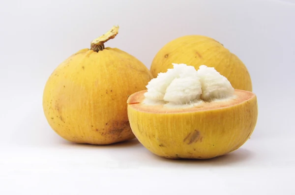 Santol Local