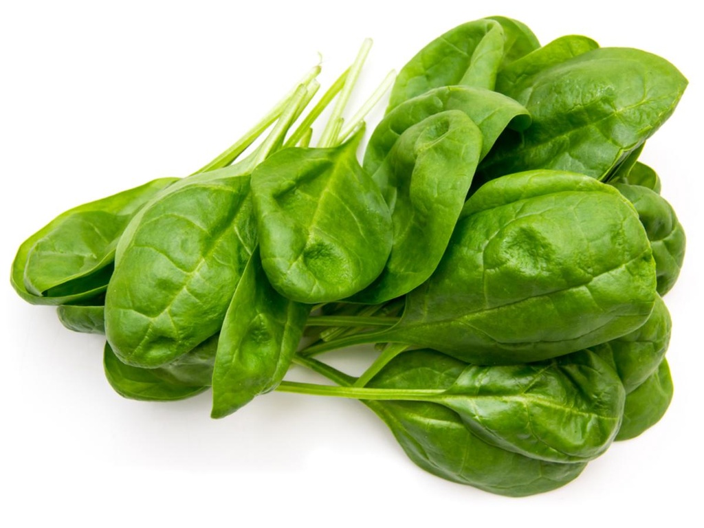 Spinach Baguio