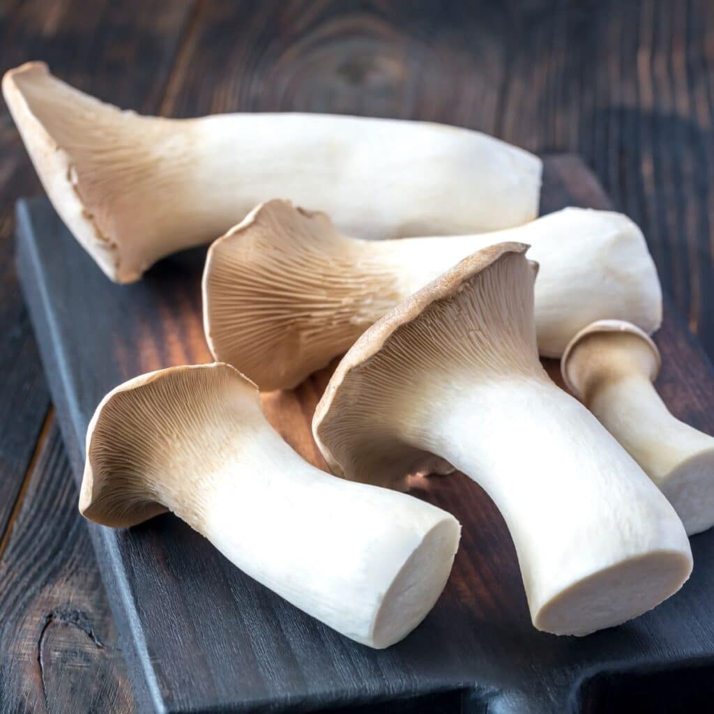 Mushroom King oyster (250g/pack)