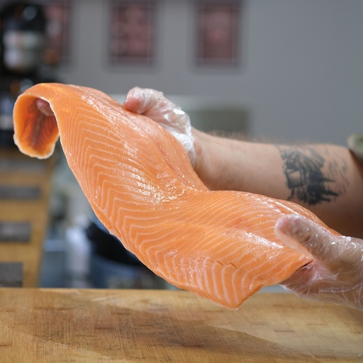 Fresh Salmon