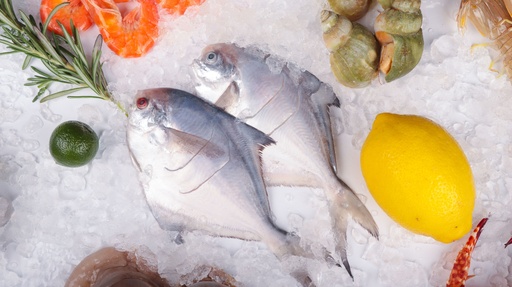Fresh Pampano (10pcs/box)
