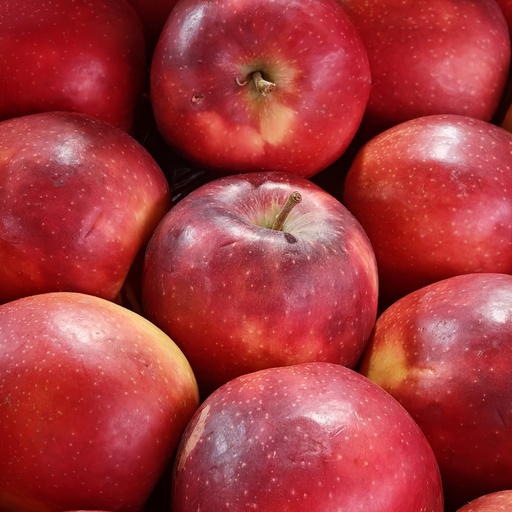 Apple Fuji Japan - pc