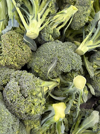 Broccoli Wholesale