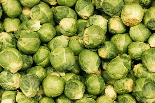 Brussel Sprout (E-House) - Pc