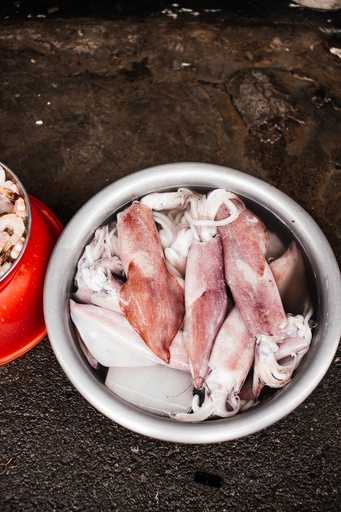 Fresh Pusit