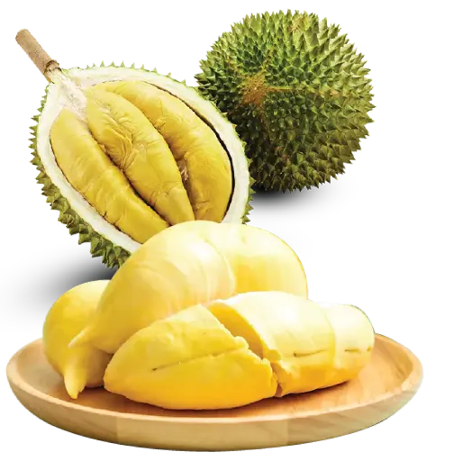 Malaysian Durian Frozen