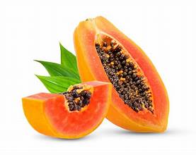Red Lady Papaya