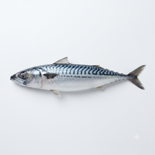 Tw Mackerel - Pc